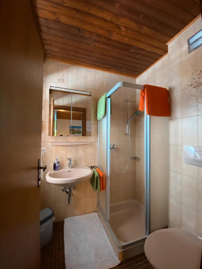 Haus Ratgeb Appartement Filzmoos Buitenkant foto