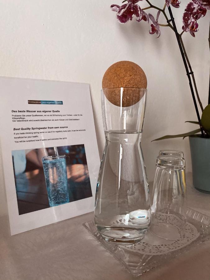 Haus Ratgeb Appartement Filzmoos Buitenkant foto